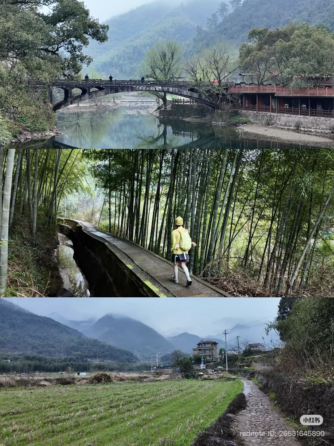 马岭古道 · 古桥竹林